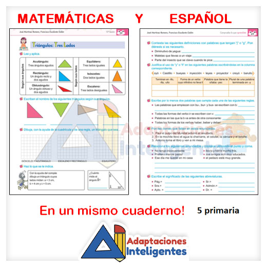 Libro para trabajar Contenidos Básicos 5 primaria