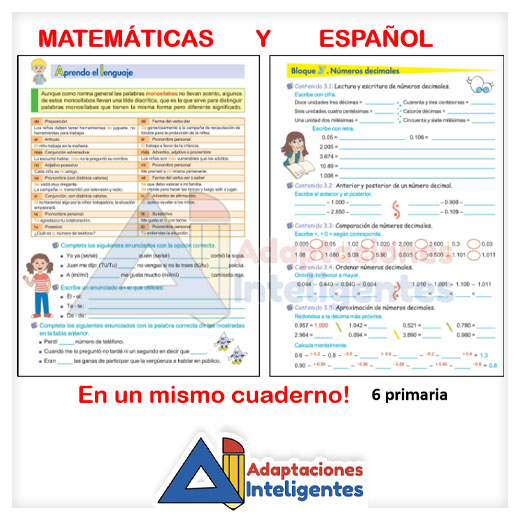 Libro para trabajar Contenidos Básicos 6 primaria